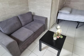 Studio II à Villejuif avec terrasse